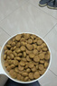 皇家狗粮 成犬粮 通用犬型 CC通用狗粮12月以上 8KG【成犬通用】 实拍图