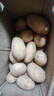 【今年新货】黄心土豆新鲜当季农家自种沙地粉糯黄心鲜土豆马铃薯 【黄皮土豆现挖新货】净重5斤 实拍图