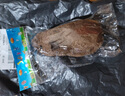 猫咪玩具电动小老鼠自嗨解闷斗逗猫棒仿真猫用品大全消耗体力好物 宠物玩具【发条小鼠】-深棕色 无规格 实拍图