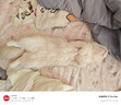 皇家幼猫猫粮 幼猫奶糕 K36 通用粮 4-12月 2KG 实拍图