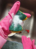 3M思高 洁力豆洗碗海绵 2片装 百洁布吸水去油污 厨具抹布洗碗布 实拍图