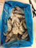 鲜京采野生海捕对虾 净重3斤/盒 30-45只/盒 实拍图