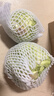 山东新鲜甘蓝包菜卷心菜圆白菜新鲜嫩绿莲花白现摘现发早餐减脂 新鲜包菜 2.8斤净重 人工挑拣 实拍图