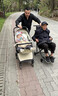 欣光扬可登机大童推椅户外旅游成人外出代步小推车大龄老人轻便出行轮椅 优雅黑【免安装+可折叠+送货上门】 便携旅行免安装口袋车遛娃亲子溜娃神器大人孕妇伞车 实拍图