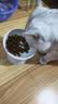 皇家成猫猫粮 营养均衡 F32 通用粮 1-7岁 2KG 实拍图