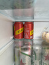 可口可乐（Coca-Cola）怡泉 Schweppes ginger 干姜水 汽水饮料 调酒 330ml*24 整箱装 实拍图