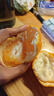 味芝元（WEIZHIYUAN）鱼块烟熏鱼湖南特产网红办公室即食熟食小吃休闲零食 香辣味16g(鱼排+鱼尾)共40包 实拍图