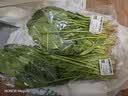 大菠菜300g 实拍图