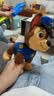汪汪队立大功（PAW PATROL）汪汪队玩具毛绒全套狗狗玩偶公仔男女孩玩具旺旺队儿童生日礼物 站姿款-阿奇公仔 中号-坐或站高约17~22.9CM 实拍图
