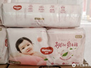 好奇（Huggies）铂金装小桃裤成长裤XL96片(12-17kg)加大号尿不湿【透爽散热】 实拍图