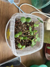 方家铺子六星淡干虾皮200g 海米干 虾米不咸可打粉紫菜蛋花汤配料海产干货 实拍图