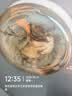 欧普照明（OPPLE）浴霸取暖灯泡官方原装防爆膜灯暖275W中间照明浴霸灯泡卫生间浴室 【浴霸取暖金泡】1只 实拍图