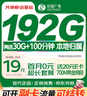 中国电信大流量卡电话卡全国通用5G长期手机卡电话卡纯上网卡低月租本地卡 实拍图