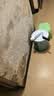 嘉宝莉内墙乳胶漆无添加净味三合一墙面漆 家用水性环保油漆涂料20kg 实拍图