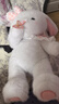 威尔通（WELTSTON）毛绒玩具布娃娃抱枕安抚玩偶儿童生日新年礼物礼品女小白兔子公仔 实拍图