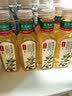 农夫山泉【新口味】东方树叶陈皮白茶500ml*15瓶无糖茶饮料0糖0脂0卡 实拍图