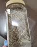 阴山优麦有机裸燕麦片1500g 高蛋白 膳食纤维 免煮即食 零添加糖 营养早餐 实拍图