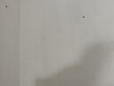 史丹利彩色陶粒垫底养花专用水培花盆种花颗粒铺面园艺土陶土粒球3斤 实拍图