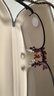 普先生老花镜男女进口高清防蓝光老光老花眼镜记忆钛76035 150度50-54岁 实拍图