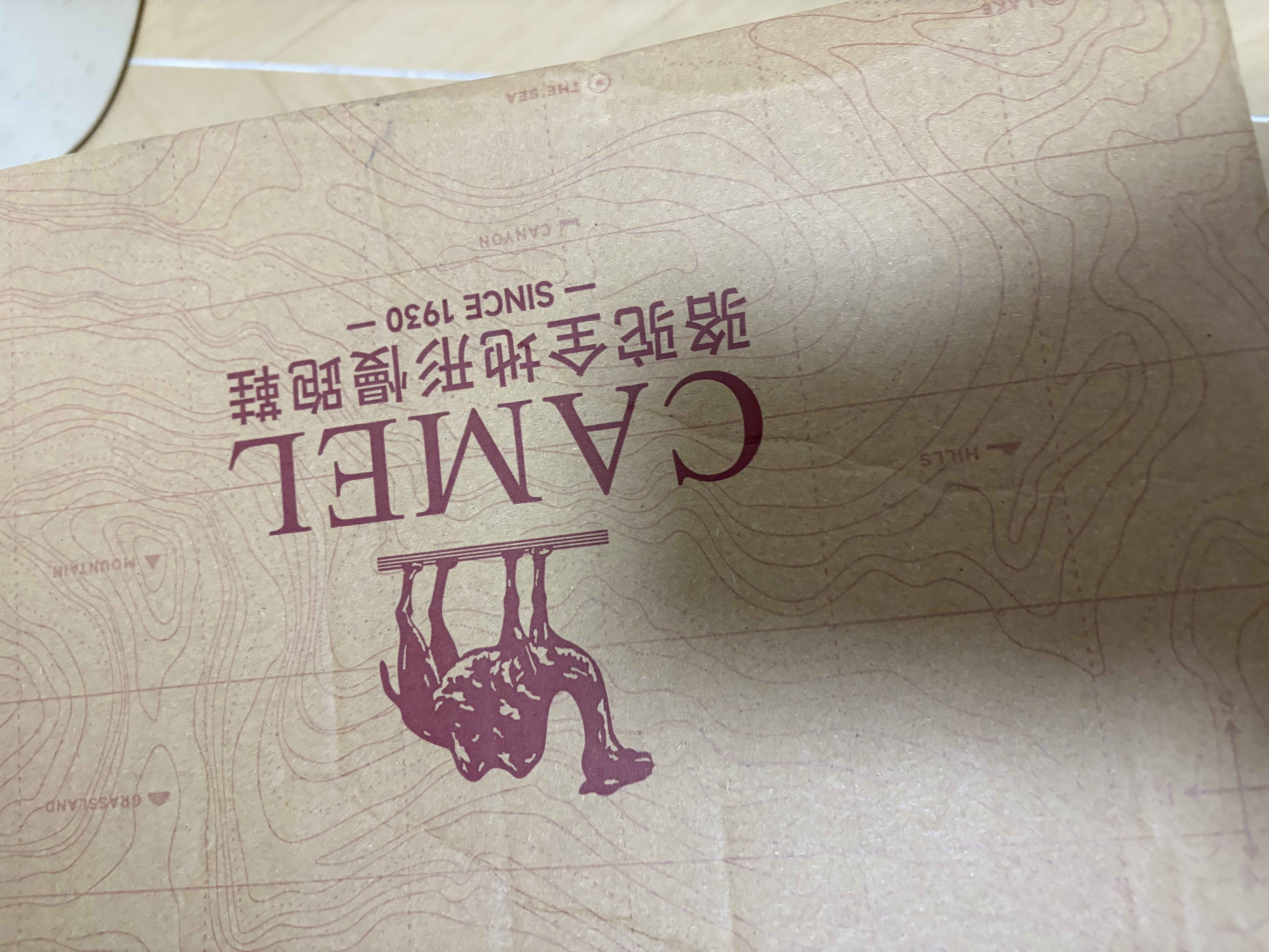 骆驼（CAMEL）山海|运动鞋男款秋季新品男鞋休闲百搭板鞋复古经典薄底德训鞋子 实拍图