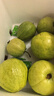 探味君 广西红心芭乐番石榴 新鲜水果生鲜健康轻食带箱 软糯红白双拼芭乐净重3斤（优选装） 实拍图
