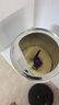 a2奶粉紫聪聪儿童学生奶粉A2蛋白 蓝胖子 高钙长高 （4-12岁）750g 实拍图