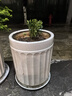 三青水性木蜡油户外防腐木油木器漆清漆桐油防霉实木油漆 透明色1kg 实拍图