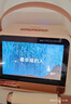 索爱（soaiy）GC520Pro+悬浮歌词蓝牙音箱K歌麦克风音响一体无线话筒六一儿童节户外家庭用ktv男女唱歌礼物 实拍图