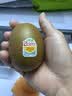 佳沛（zespri）新西兰 阳光金奇异果12粒特大果单果124-146g 猕猴桃水果礼盒 实拍图