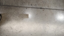 真维斯（Jeanswest）冰丝短袖T恤男夏季纯色体恤衫宽松大码运动健身半袖男士速干上衣 实拍图