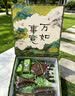 工艺花礼伴手礼高端A级檀木梳礼盒教师节礼物送长辈领导老师礼物 A级檀木【万事如意-东方韵】爆款主推 实拍图