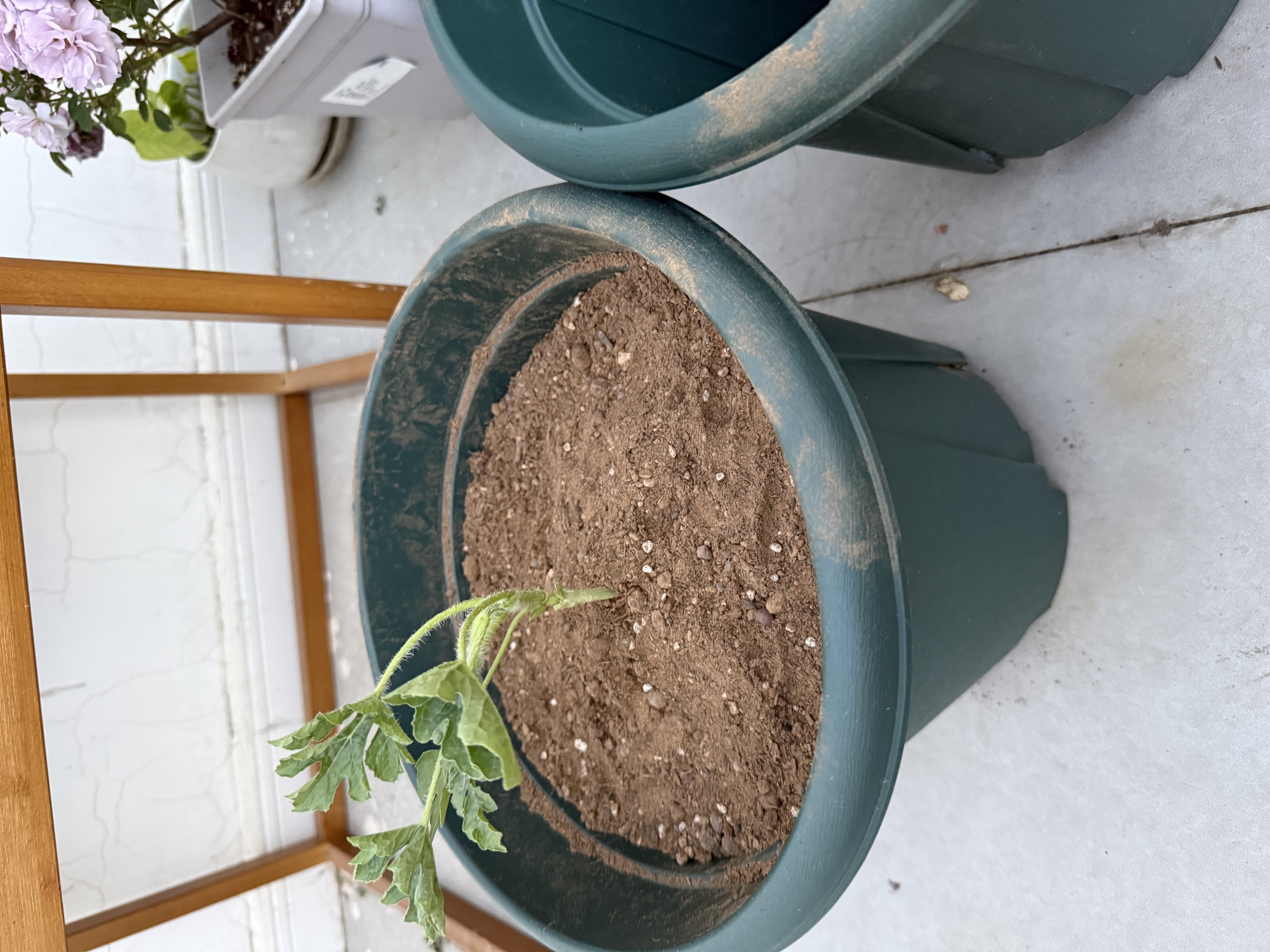 奥美优青山盆花盆家用大号树脂透气防烂根塑料种植盆栽盆带托盘一体加厚 实拍图