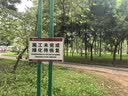 松达婴儿山茶油宝宝抚触油新生儿按摩润肤身体油护臀膏50ml  实拍图