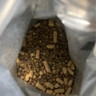 LEGENDSANDY蓝氏猎鸟乳鸽生骨肉冻干猫粮 全价成猫幼猫猫粮 盒装4.5kg 实拍图