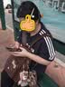 李宁利刃5V2丨聚核芯助力系统篮球鞋男子低帮防滑百搭专业比赛运动鞋 白/黄/粉(V059款)-10 内向艺术家 43 实拍图