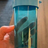 特百惠（Tupperware）雅致3件套300ML塑料杯男女士学生儿童夏季水杯子户外便携 随机色 实拍图
