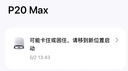 石头（roborock）扫地机器人扫拖一体 P20 Max扫拖洗烘一体机 自动集尘热水洗拖布擦地拖地洗地机吸尘器 A2950RR 实拍图