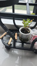 蜗家花架客厅落地式可移动阳台植物置物架铁艺多层室内多肉花盆托架黑 实拍图