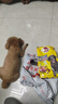 宝路狗粮老年犬狗粮 牛肉味1.8kg全犬种通用老年犬狗粮全价粮  实拍图