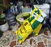 史丹利营养土养花通用型家用多肉兰花专用土泥炭土壤种植土花土10L 实拍图