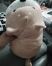 名创优品（MINISO）趴姿系列-大号趣味狗狗毛绒公仔玩具玩偶抱枕生日礼物女 灰色 实拍图