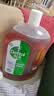 滴露（Dettol）消毒液消毒水衣物除菌液洗衣服地板杀菌除螨消毒喷雾片非84次氯酸 【香氛洗衣】衣物香氛消毒液1L 实拍图