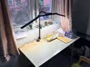 鹿家良品（LUUGAA）H2台灯护眼学习灯无影灯手工美甲折叠灯夹子护眼台灯护眼灯床头灯 【夹子款】H2全光谱3D调节三光源22W软管 实拍图