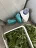 立白天然茶籽洗衣液12斤 除菌除螨抑菌 手洗机洗祛味去渍含补充装 实拍图