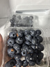 安琪高活性干酵母粉5g*10袋 低糖型家用发面蒸包子馒头发酵粉烘焙原料 实拍图