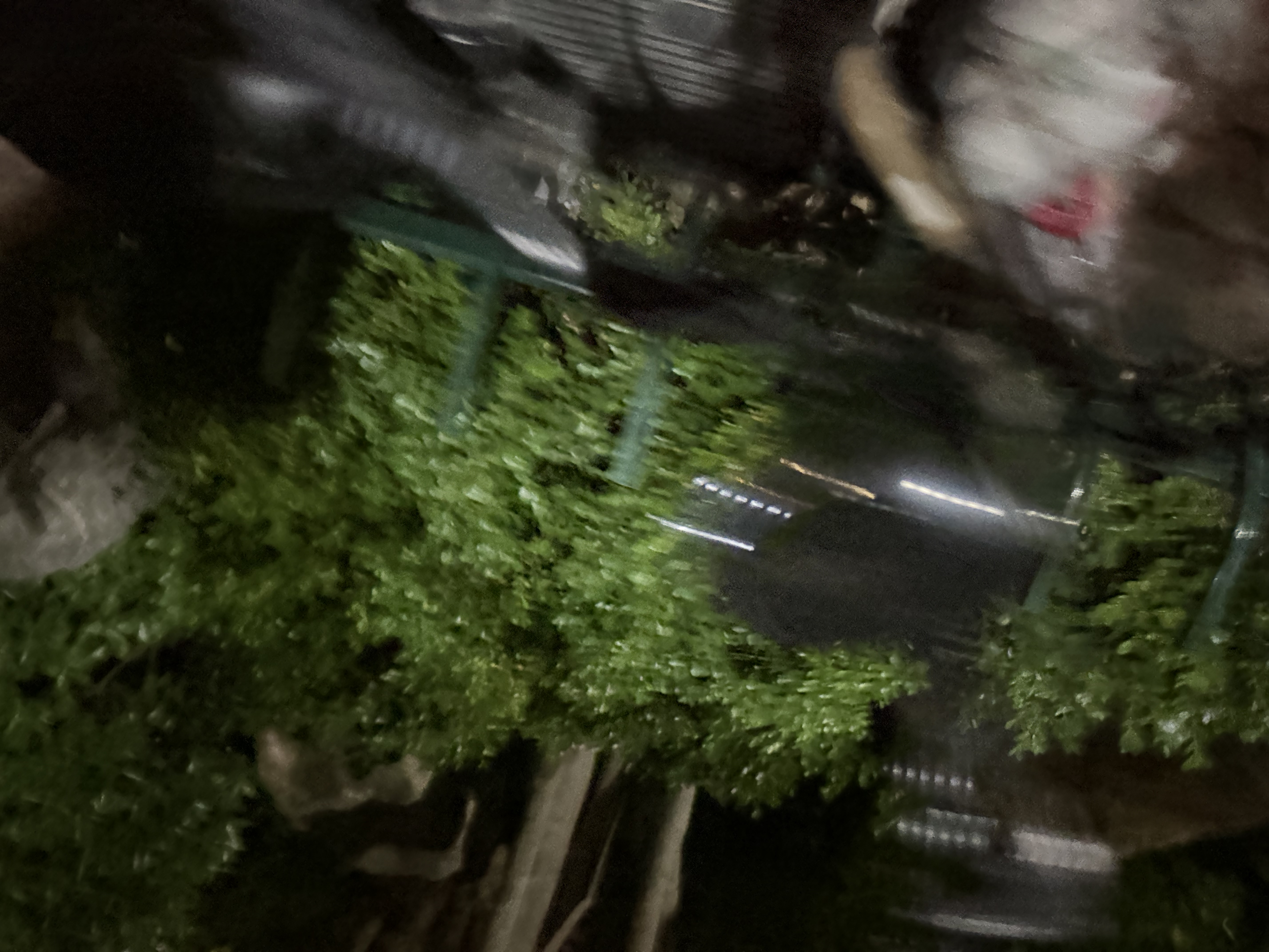 四万公里自行车夜骑灯超亮骑行装备尾灯山地车公路车灯单车夜行夜间照明灯 实拍图