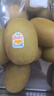佳沛（zespri）新西兰阳光金奇异果巨大果22粒原箱单果146-175g 猕猴桃水果礼盒 实拍图
