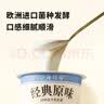 北海牧场经典原味酸奶100g*6杯  高钙含量100mg/杯低温酸奶酸牛奶 实拍图