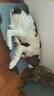 伯纳天纯生鲜系列全价通用犬粮深海御鲜鱼肉味10kg/20斤 实拍图