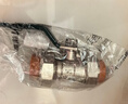 伟星 PPR双活接球阀4分dn20 家装入户水管管件热熔前置暖气改造总阀门正品 实拍图